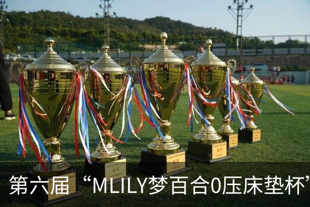 第六届“MLILY梦百合0压床垫杯”世界围棋公开赛国际预选赛5月8日如皋开战
